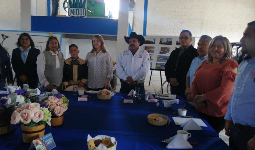 reco4