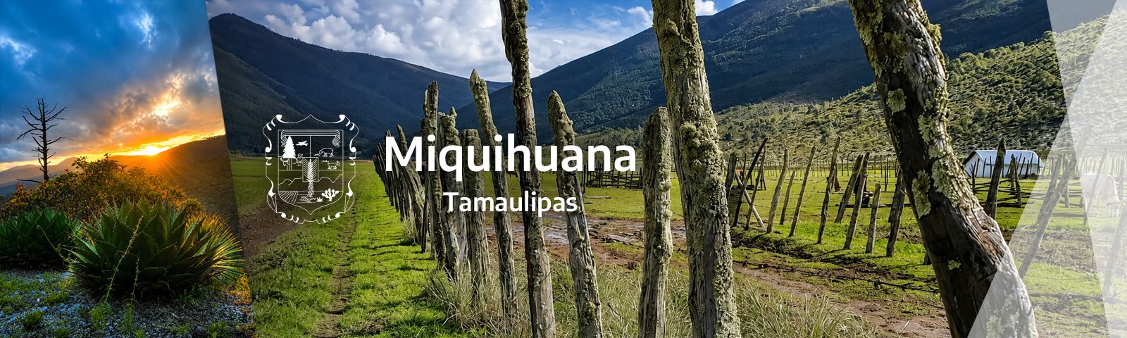 Municipio de Miquihuana